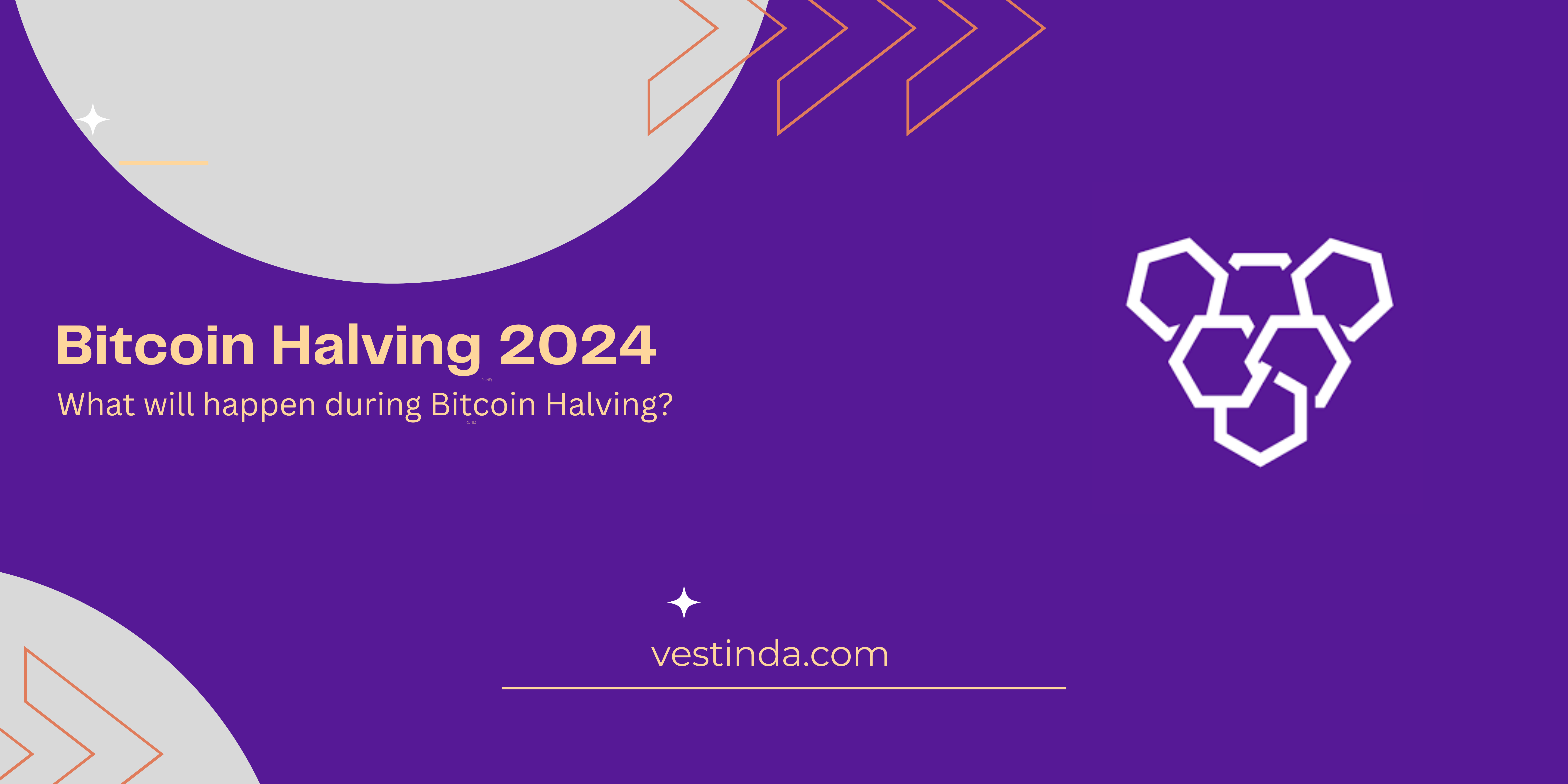 Bitcoin Halving 2024 What will happen during Bitcoin Halving? Vestinda
