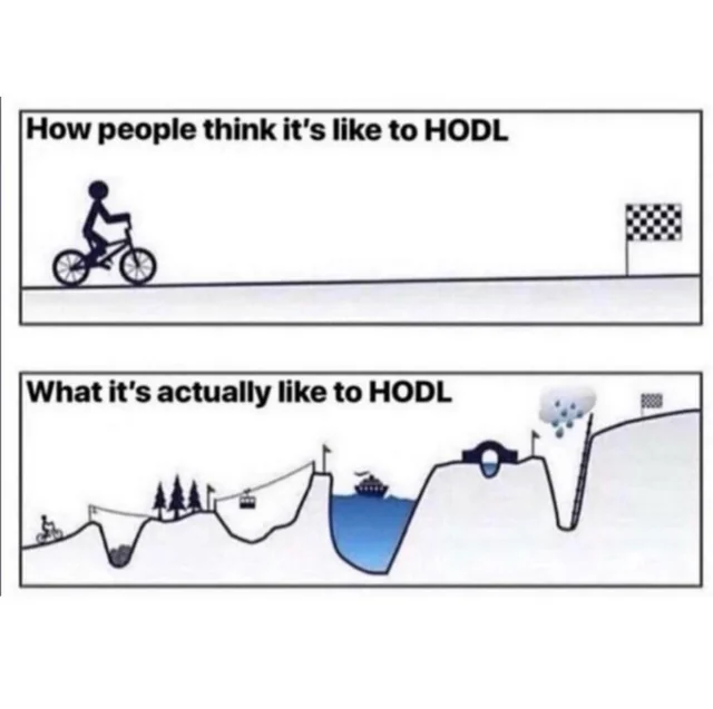 Crypto Lessons 2025: HODL